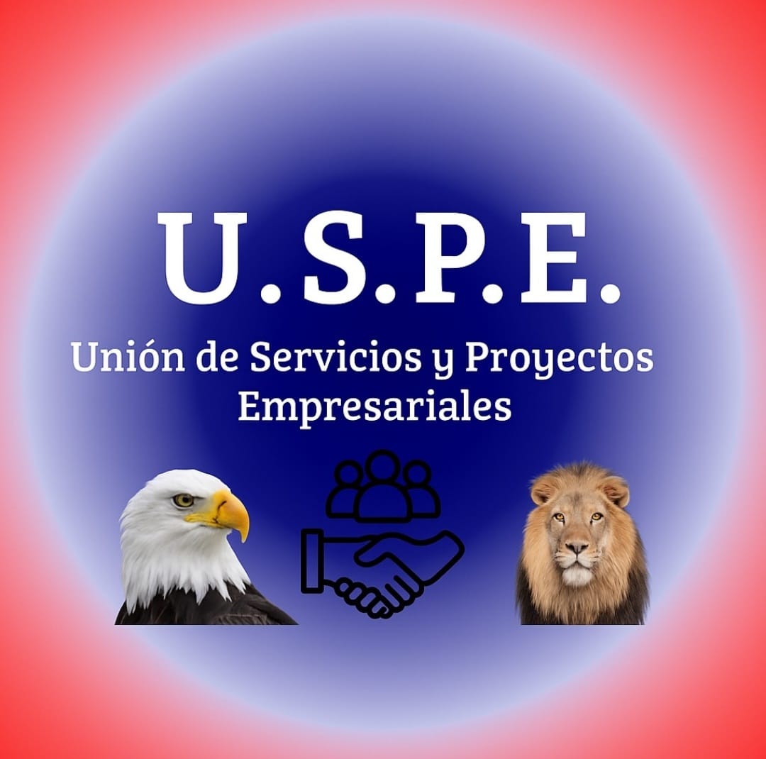 usa-enterprise.com